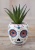 Blumentopf Sugar Skull Faux Succulent 